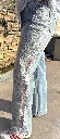 IMG_E9002[1].webp