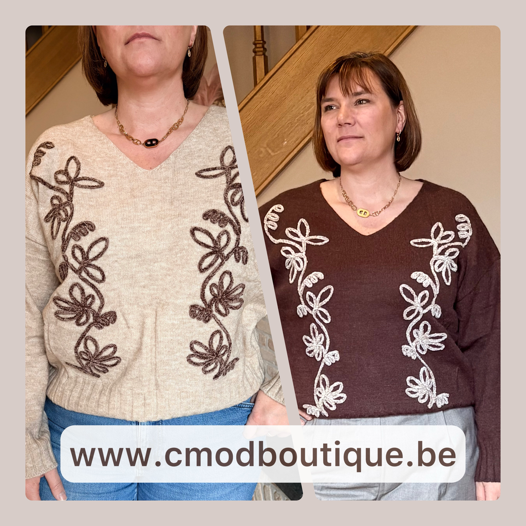Pull Christy (L - 40, Beige)